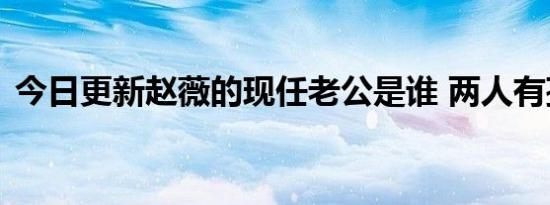 今日更新赵薇的现任老公是谁 两人有孩子吗