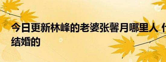 今日更新林峰的老婆张馨月哪里人 什么时候结婚的