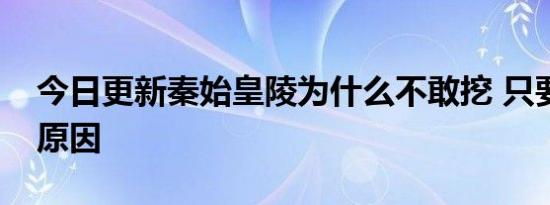 今日更新秦始皇陵为什么不敢挖 只要有这些原因