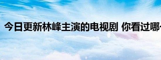 今日更新林峰主演的电视剧 你看过哪一部呢