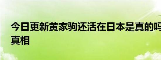 今日更新黄家驹还活在日本是真的吗 来揭晓真相