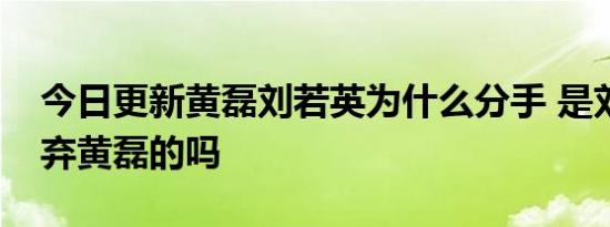 今日更新黄磊刘若英为什么分手 是刘若英放弃黄磊的吗