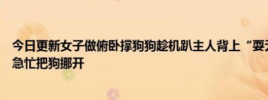 今日更新女子做俯卧撑狗狗趁机趴主人背上“耍无赖”丈夫急忙把狗挪开