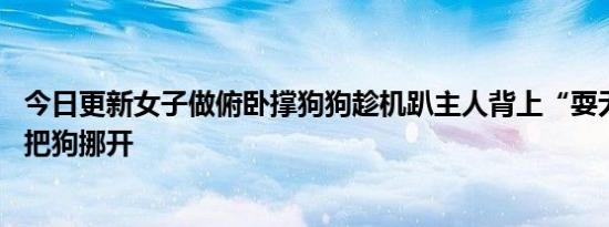 今日更新女子做俯卧撑狗狗趁机趴主人背上“耍无赖” 丈夫把狗挪开