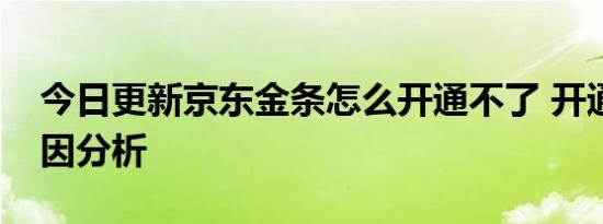 今日更新京东金条怎么开通不了 开通失败原因分析