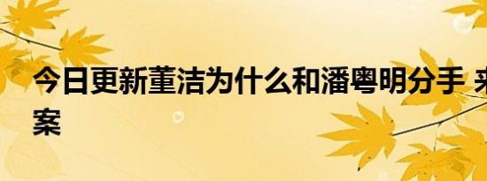 今日更新董洁为什么和潘粤明分手 来揭晓答案