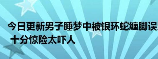 今日更新男子睡梦中被银环蛇缠脚误以为皮带 十分惊险太吓人