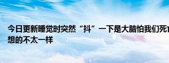 今日更新睡觉时突然“抖”一下是大脑怕我们死亡真相和你想的不太一样