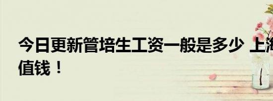 今日更新管培生工资一般是多少 上海地区最值钱！