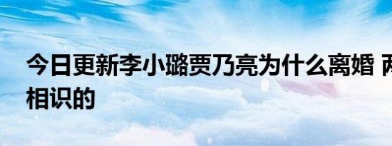 今日更新李小璐贾乃亮为什么离婚 两人怎么相识的