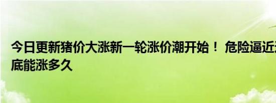 今日更新猪价大涨新一轮涨价潮开始！ 危险逼近这次猪价到底能涨多久