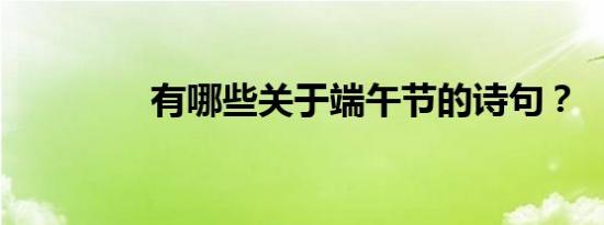 有哪些关于端午节的诗句？