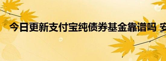 今日更新支付宝纯债券基金靠谱吗 安全吗