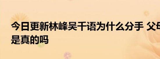 今日更新林峰吴千语为什么分手 父母不认可是真的吗