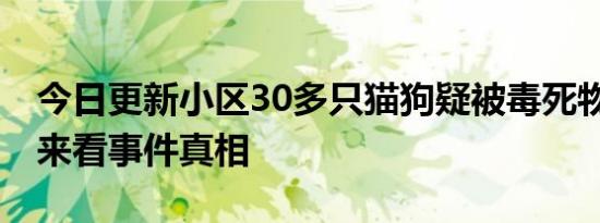 今日更新小区30多只猫狗疑被毒死物业回应 来看事件真相