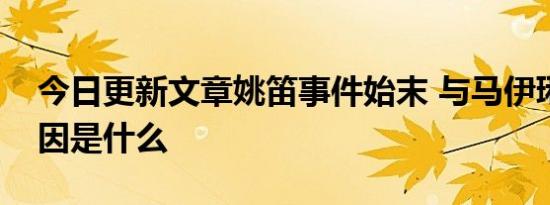 今日更新文章姚笛事件始末 与马伊琍离婚原因是什么