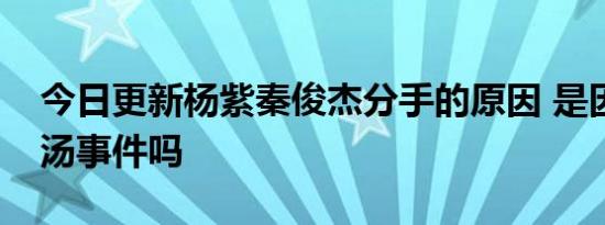 今日更新杨紫秦俊杰分手的原因 是因为胡辣汤事件吗