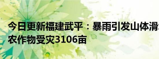 今日更新福建武平：暴雨引发山体滑坡致8死 农作物受灾3106亩