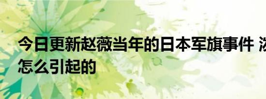 今日更新赵薇当年的日本军旗事件 泼粪事件怎么引起的