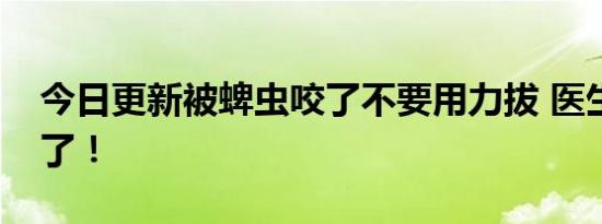 今日更新被蜱虫咬了不要用力拔 医生提醒来了！