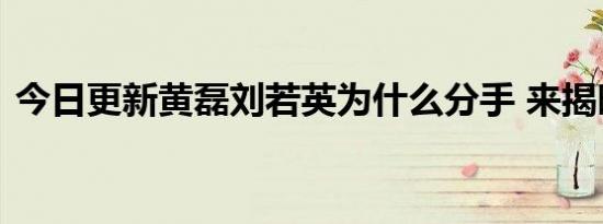 今日更新黄磊刘若英为什么分手 来揭晓答案