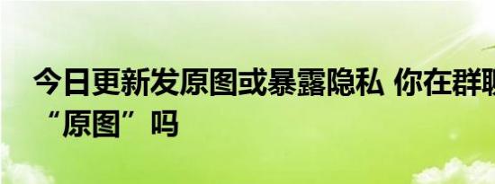 今日更新发原图或暴露隐私 你在群聊中发过“原图”吗