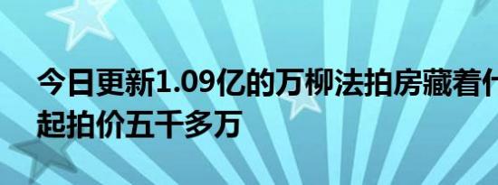 今日更新1.09亿的万柳法拍房藏着什么秘密起拍价五千多万