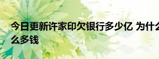 今日更新许家印欠银行多少亿 为什么会欠那么多钱