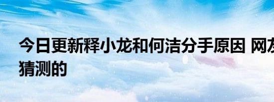 今日更新释小龙和何洁分手原因 网友是这样猜测的