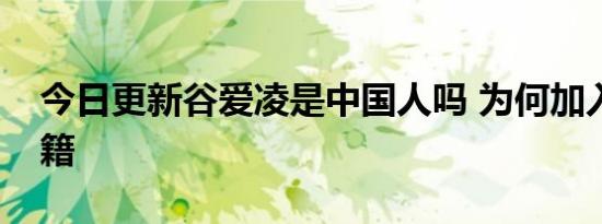 今日更新谷爱凌是中国人吗 为何加入中国国籍