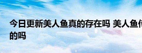 今日更新美人鱼真的存在吗 美人鱼传说是真的吗