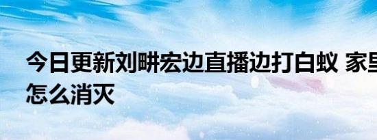 今日更新刘畊宏边直播边打白蚁 家里有白蚁怎么消灭