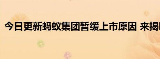 今日更新蚂蚁集团暂缓上市原因 来揭晓真相