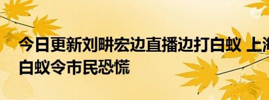 今日更新刘畊宏边直播边打白蚁 上海成群的白蚁令市民恐慌