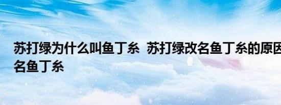 今日更新华天科技是国企还是私企 做什么产品的