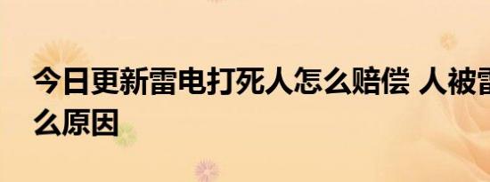 今日更新雷电打死人怎么赔偿 人被雷击是什么原因