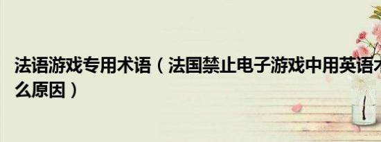 法语游戏专用术语（法国禁止电子游戏中用英语术语 这是什么原因）