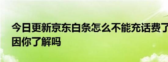 今日更新京东白条怎么不能充话费了 以下原因你了解吗