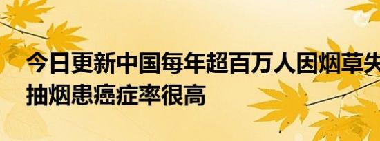 今日更新中国每年超百万人因烟草失去生命 抽烟患癌症率很高