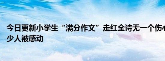 今日更新小学生“满分作文”走红全诗无一个伤心字 也让不少人被感动