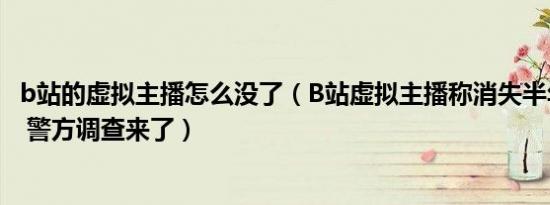 b站的虚拟主播怎么没了（B站虚拟主播称消失半年是被拐卖 警方调查来了）