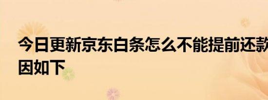 今日更新京东白条怎么不能提前还款 具体原因如下