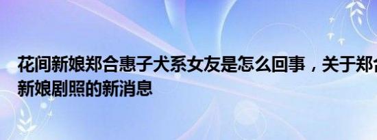 花间新娘郑合惠子犬系女友是怎么回事，关于郑合惠子花间新娘剧照的新消息