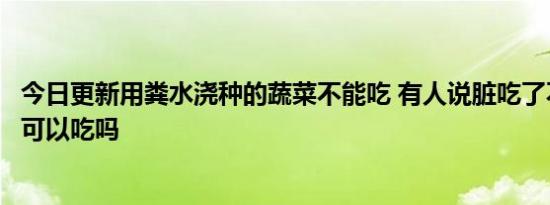 今日更新用粪水浇种的蔬菜不能吃 有人说脏吃了不健康到底可以吃吗