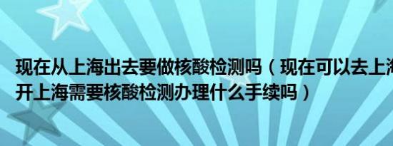 现在从上海出去要做核酸检测吗（现在可以去上海送货吗 离开上海需要核酸检测办理什么手续吗）