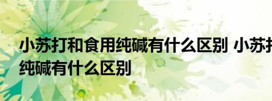 小苏打和食用纯碱有什么区别 小苏打和食用纯碱有什么区别 