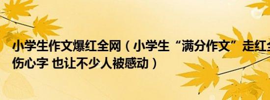 小学生作文爆红全网（小学生“满分作文”走红全诗无一个伤心字 也让不少人被感动）