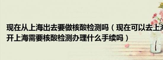 现在从上海出去要做核酸检测吗（现在可以去上海送货吗 离开上海需要核酸检测办理什么手续吗）