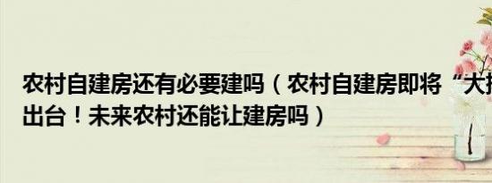 农村自建房还有必要建吗（农村自建房即将“大排查”新规出台！未来农村还能让建房吗）