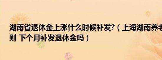 湖南省退休金上涨什么时候补发?（上海湖南养老金调整细则 下个月补发退休金吗）